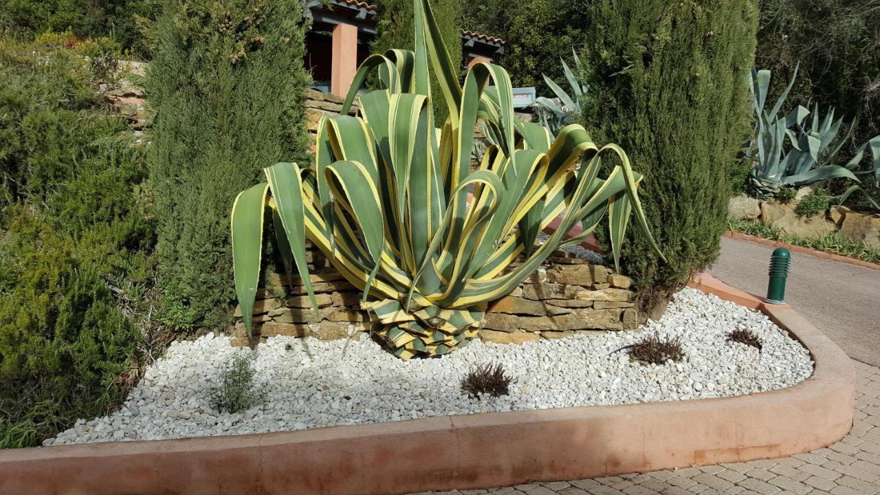 La Maison Du Castellet Le Castellet  Zewnętrze zdjęcie