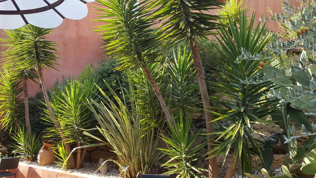 La Maison Du Castellet Le Castellet  Zewnętrze zdjęcie