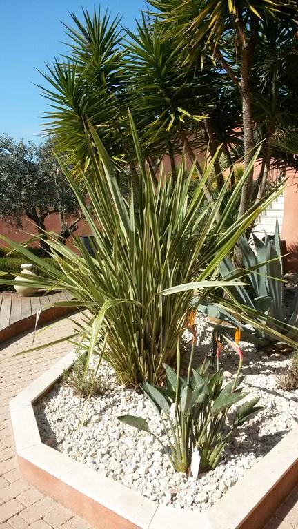 La Maison Du Castellet Le Castellet  Zewnętrze zdjęcie